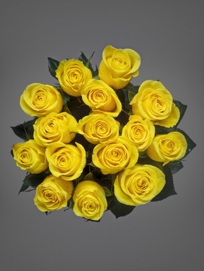 Роза желтая (Эквадор) 60 см 15 шт
