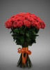 Роза Сантана 60 см 51 шт