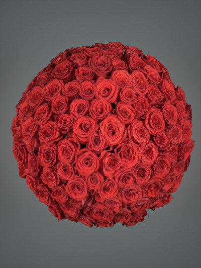 Роза Сантана 60 см 101 шт