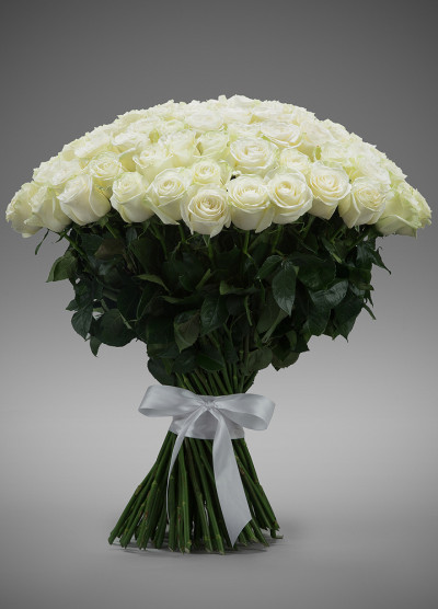 Роза Мондиаль 60 см 101 шт