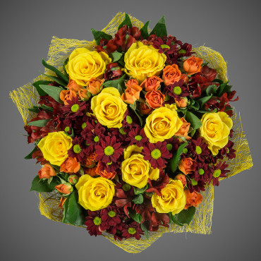 Сюрприз стандарт плюс