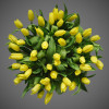Тюльпан желтый 49 шт