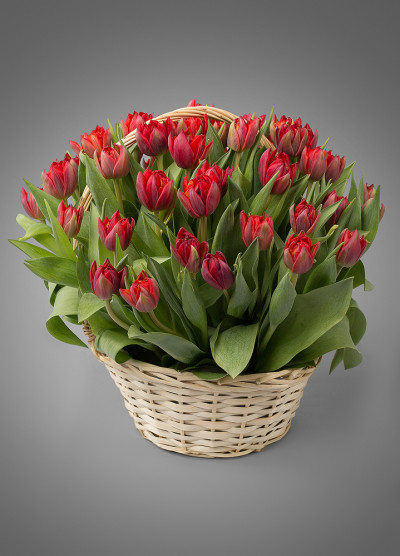Гранатовый сюрприз премиум