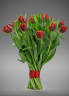 Тюльпан красный 25 шт