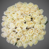 Роза Венделла 70 см 51 шт