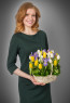 Летний бриз стандарт плюс