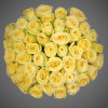 Роза желтая (Эквадор) 50 см 51 шт